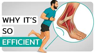Barefoot Running Technique Simplified