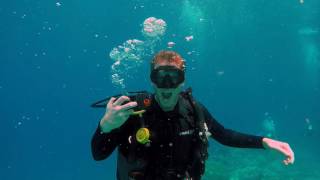 Great Barrier Reef Liveaboard Dive Trip