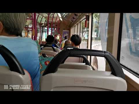 SBS Transit Scania K230UB Euro IV Gemilang SBS8313X On Service 116