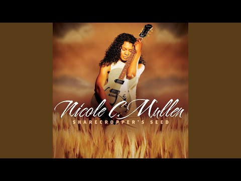 Thumbnail for Fall video