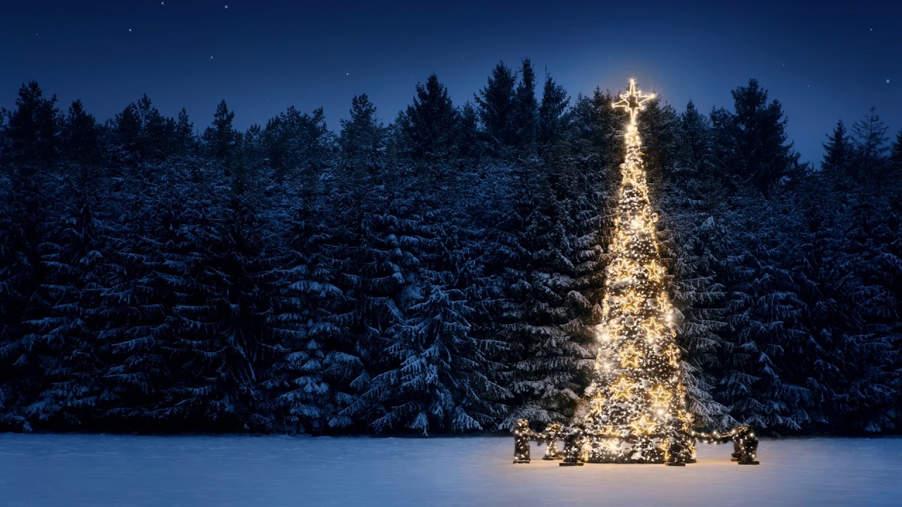 Christmas Tree Song Mp3 Download