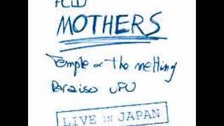 Acid Mothers Temple & The Melting Paraiso UFO - Live In Japan (2002) (with download!!)