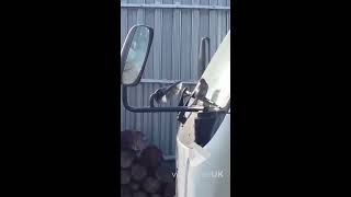 faze tari pasarea comica