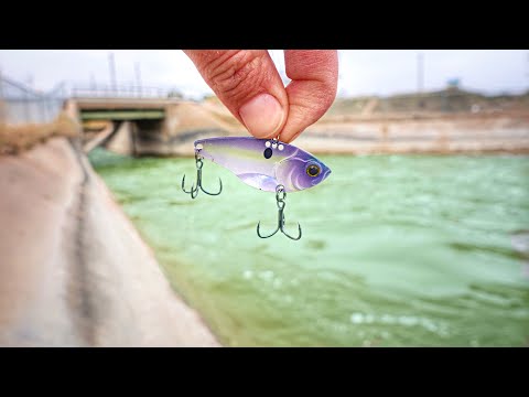 A STRANGE CREATURE Was Living Inside This RAGING SPILLWAY!!! (Second One EVER)