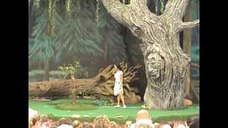 Pocahontas and Her Forest Friends at Disney&#39;s Animal Kingdom (2006)