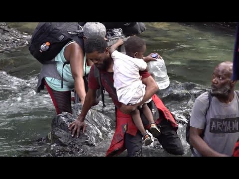 In the hell of the Darién jungle, the ordeal of migrants dreaming of America • FRANCE 24