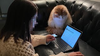 妹のリモートワークを不思議に思ったライト君です
