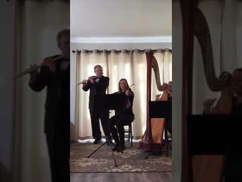 Promotional video thumbnail 1 for City Winds Flute and Harp  Duo