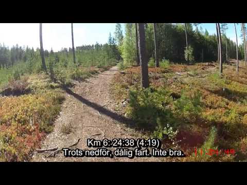 Tarstaborgsrundan 2013 - 9 km (Löparperspektiv, kort)