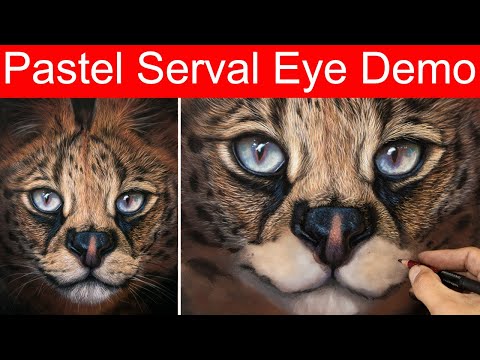 Pastel Pencil - Serval cat eye - Jason Morgan wildlife art