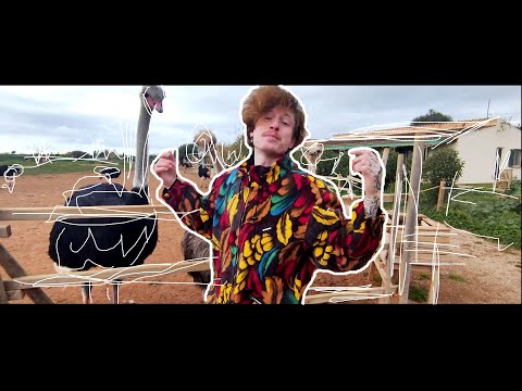 Vivere - VESELICE (Official Video)