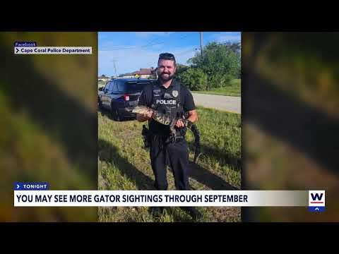 Wink Local News