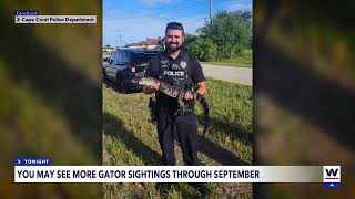WINK News Live