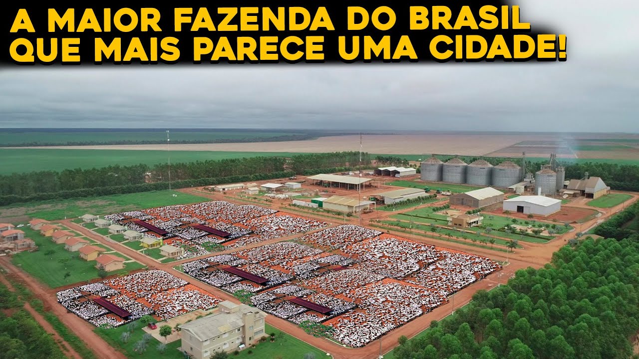 CONHEÇA POR DENTRO DA FAZENDA RONCADOR - MAIOR FAZENDA DO BRASIL!