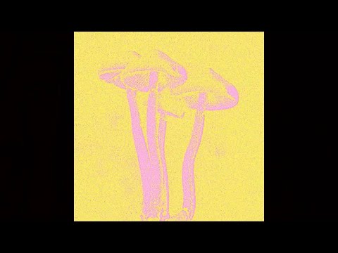 Mihigh - D'arc Picant