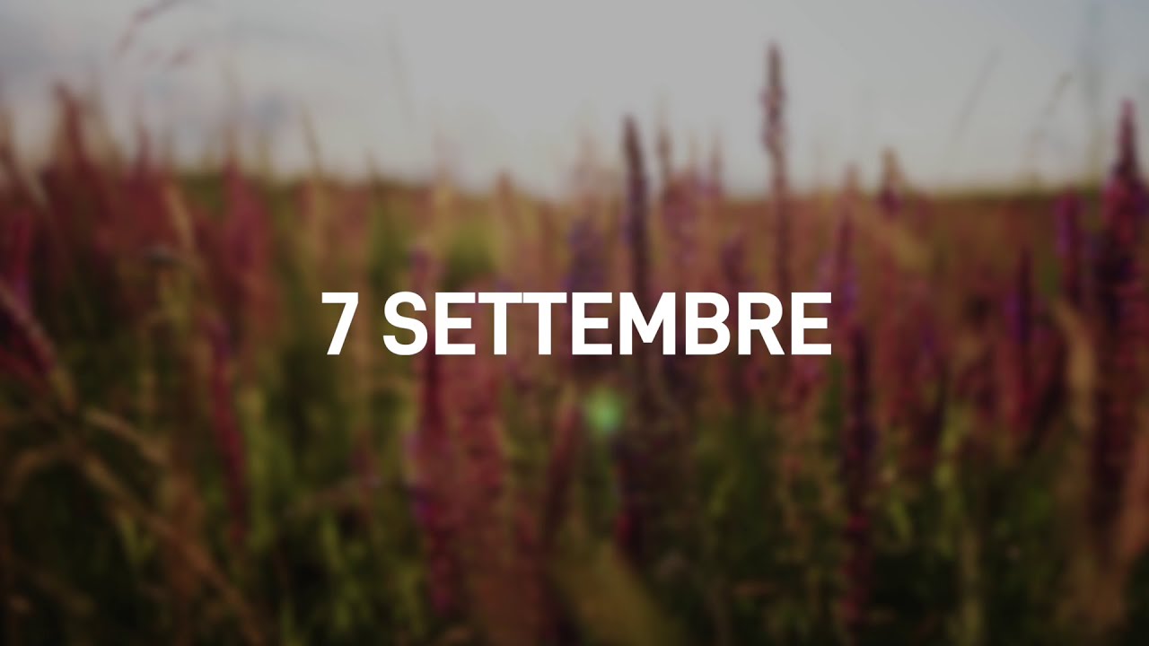 7 Settembre 2025 | Meditazione Parole di Vita