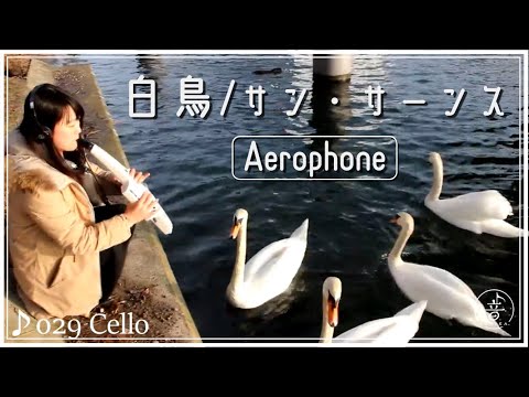 [ Aerophone ] 白鳥 - Le cygne / Saint-Saëns [ Roland AE-10 ]