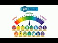 PH Scale in Simple Terms