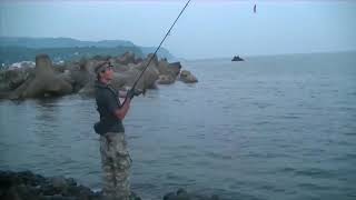 でかいキジハタが釣れた！※エージ先輩ソロ釣行。