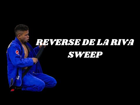 【有料級】全日本王者が教えるリバースデラヒーバからのスイープ第一弾