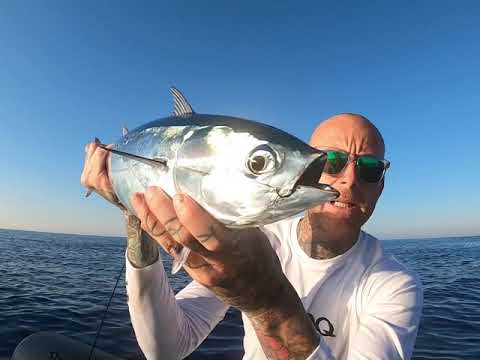 Lanseta Zenaq Fokeeto FC76-1 Longcast 2.31m 8-45g Fast