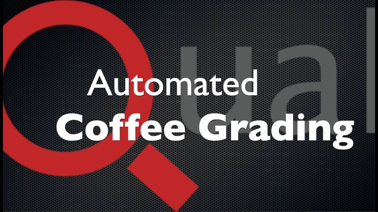 Automated Inspection Green Coffee Beans with QSorter