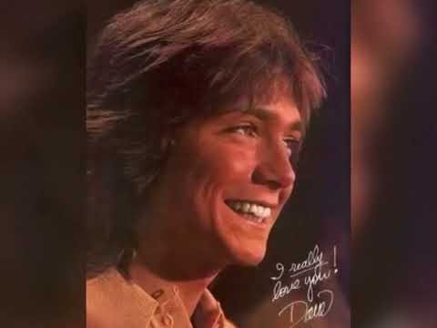 DAVID CASSIDY TRIBUTE-COULD IT BE FOREVER