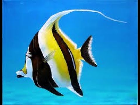 اغنية عندي سمكة ذهبية ماجدة الرومي - majeda alroome