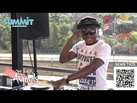 We Are Animals Sunset Stream Vol 2 feat Master Simz