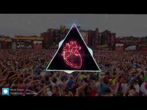 Wildstylez - Heartbeat ( ZYZZ TRIBUTE )