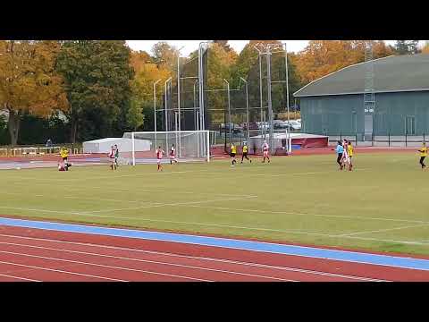 NJS T08 - Sandvikens IF