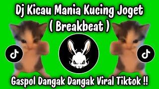Download lagu DJ KICAU MANIA KUCING ( BREAKBEAT ) - GASPOL DANGAK DANGAK VIRAL TIKTOK TERBARU YANG KALIAN CARI ! mp3