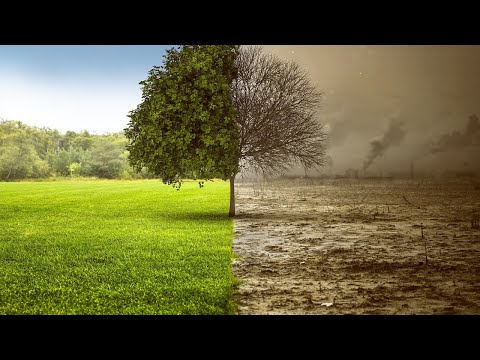 Parliamo di Ambiente ed Inquinamento