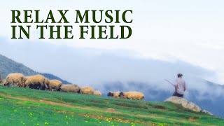 Relax music - Shepherd in the field | Релакс  музыка - Пастух в поле | 放鬆音樂-田野裡的牧羊人