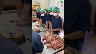 Download lagu RUMAH POTONG UNGGAS PENDAMPINGAN SERTIFIKASI HALAL BERSAMA SHI #short #ayampotong mp3 Download lagu RUMAH POTONG UNGGAS PENDAMPINGAN SERTIFIKASI HALAL BERSAMA SHI #short #ayampotong mp3