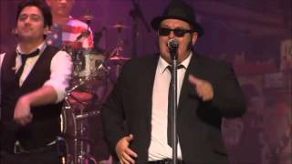 Chicago Blues Brothers - Flip Flop and Fly