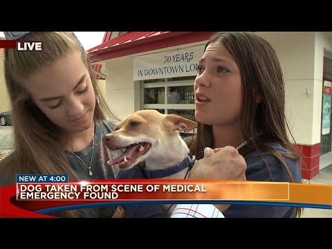 Dog taken from Longmont 7-Eleven after man suffers seizure, later dies, found