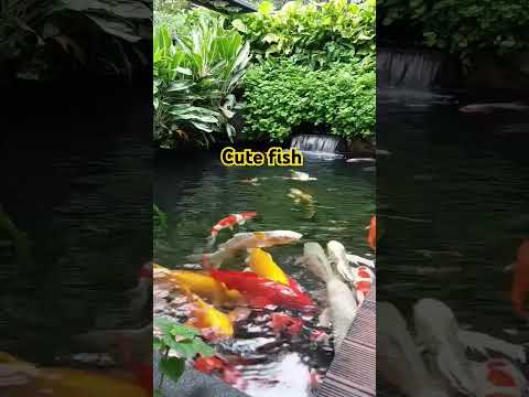 Crazy harte borkan #hiphop#rapper #music #song #backgroundmusic #bass 💝💖💓💔💔❣️💚💕💞❤️‍🔥❤️‍🩹 #beat#beats