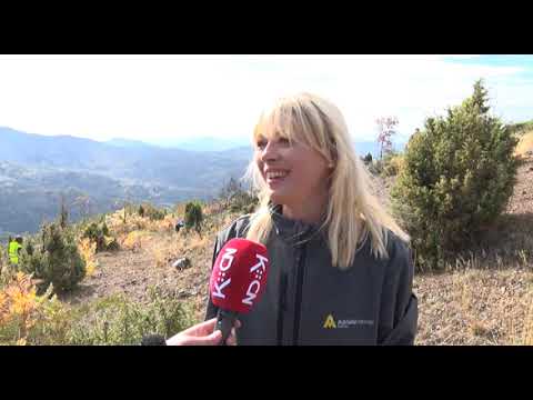 Akcija pošumljavanja u selu Badanj