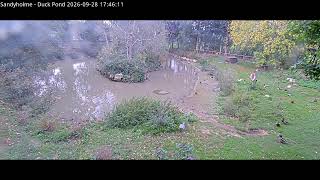 Wildlife Lake at Sandholme Holiday Park, Dorset