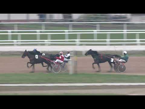 2020.10.24. 07. futam - HAPPY BLUEJAY DÍJ