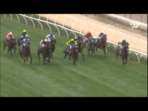 KILMORE Race 7 YOU TELL ME__ Sunday 5 January 2014
