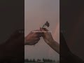 Aap Baat Apni Marzi Se Karte Ho ️ ️ Shorts Shortsvideo Youtubeshorts Shayari Trending 2023
