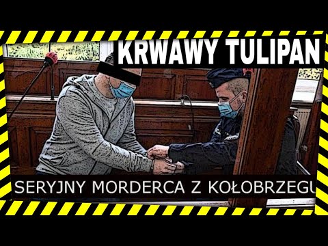 Mariusz G. Krwawy Tulipan