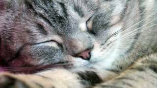 Lullaby: Be My Baby-- Linda Ronstadt