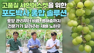 포도박사의 고품질 샤인머스켓 솔루션! 토양관리부터 병해충 방제까지 포도 농사 컨설팅