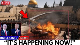 WATCH THIS: They Sacrificed The Red Heifer In 2026 — But No One Expected What Comes Next!