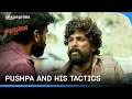 Pushpa Is A Mastermind Pushpa The Rise Prime Video India