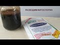 Как разводить Фитоспорин пасту. Как разводить Фитоспорин пасту.