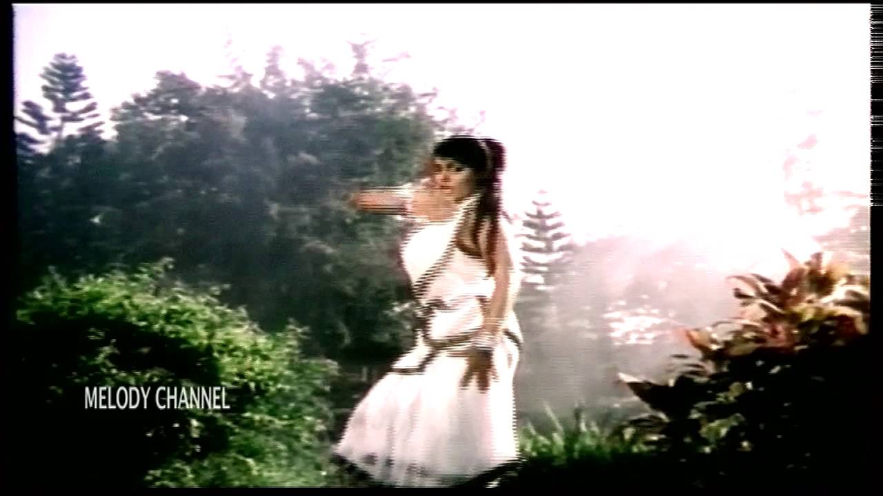 Aayi Sawan Ki Rut Matwali Lyrics | Aawara Zindagi | Anuradha Paudwal